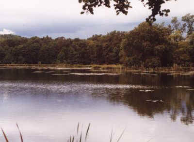 Parco dei Lagoni Mercurago