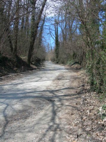 la salita iniziale per arrivare al parco